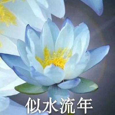 天途修仙最新版下载