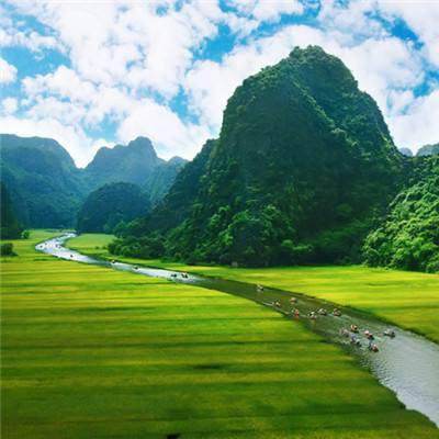 超级蚊子乱斗手机版下载